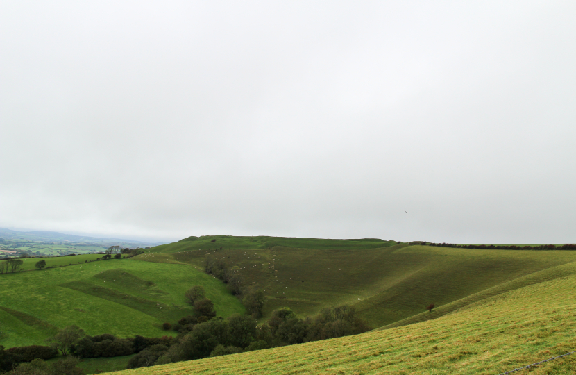 Eggardon Hill