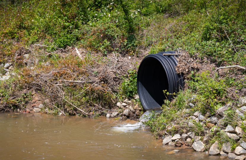 Chris Loder MP welcomes investment to tackle sewage dumping after ...