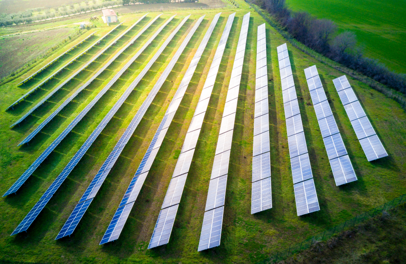 Solar farm 