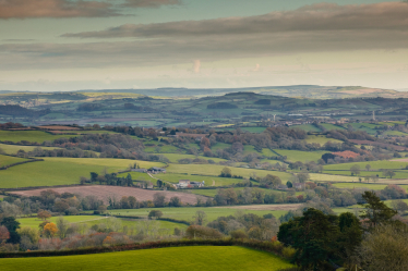 West Dorset 